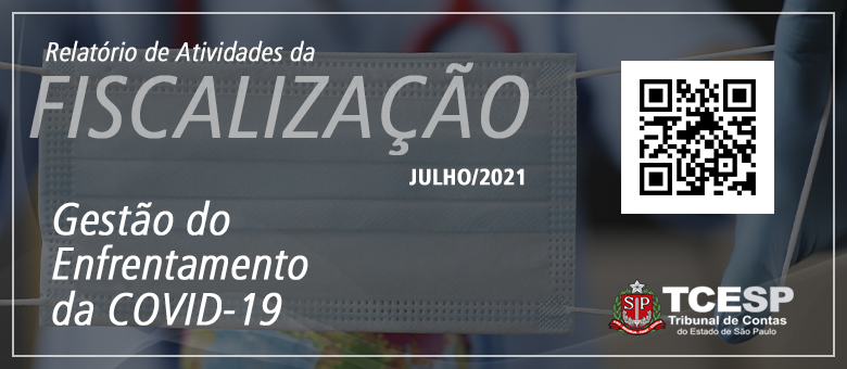 TCE detecta irregularidades em mais de 20% dos Portais de Transparncia