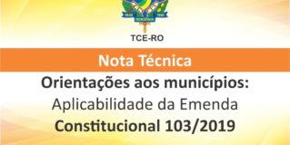 Nota tcnica do TCE-RO explica como RPPS devem se adequar  Reforma da Previdncia